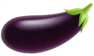 Brinjal eggplant