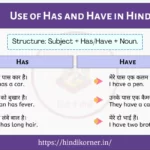 Use Of Has And Have In Hindi Examples