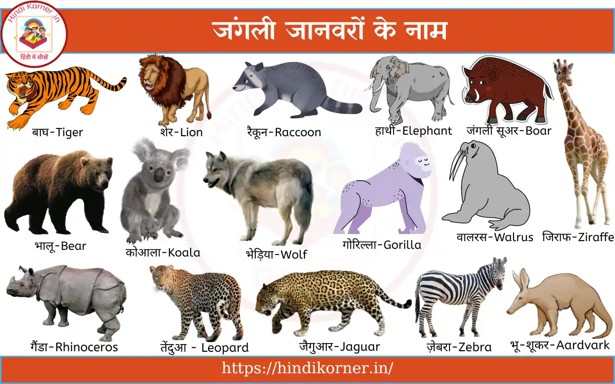 Wild Animals Name In Hindi And English
